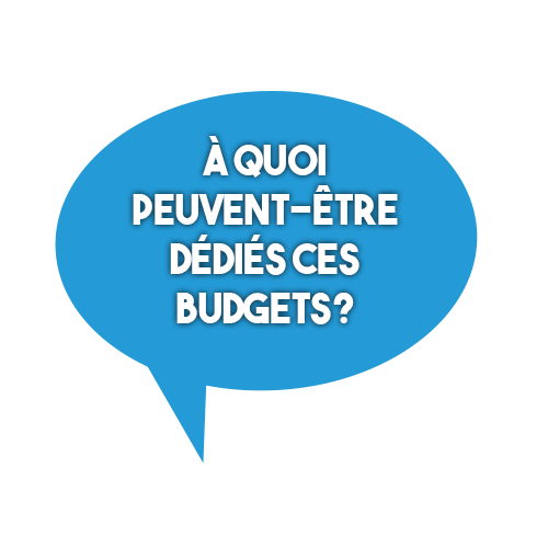 Budget_participatif.png