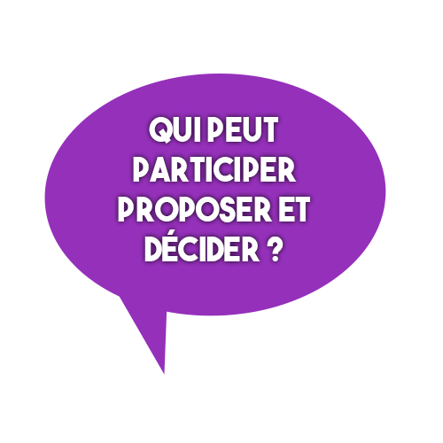 Budget_participatif.png